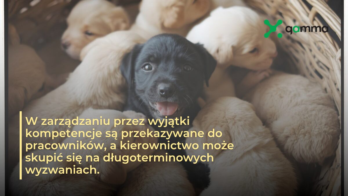 Gamma - Zarządzanie przez wyjątki: czym jest i jak działa?